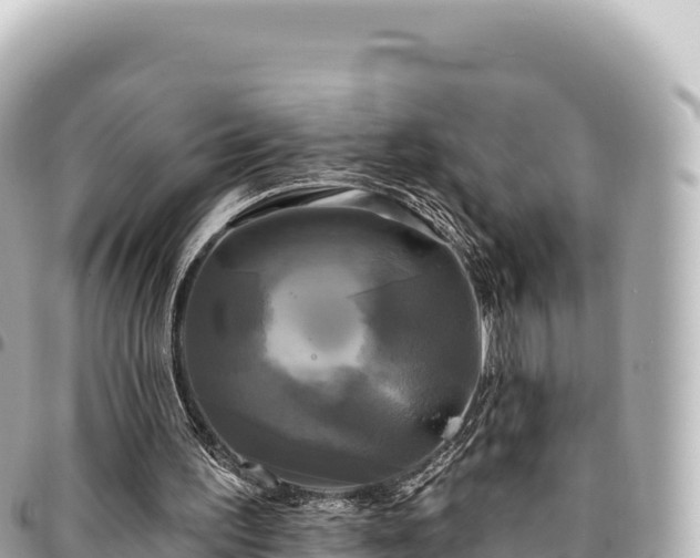 X0000095110195200712141159