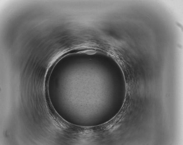 X0000095110196200712141159