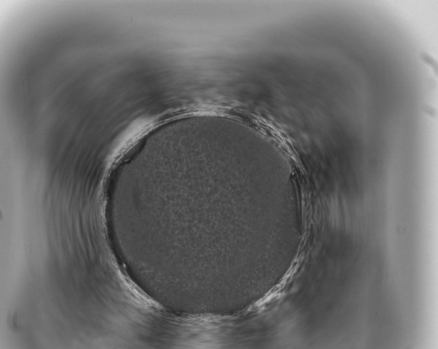 X0000095110197200712141159