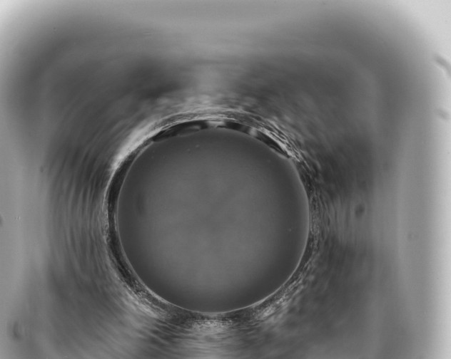 X0000095110198200712141159