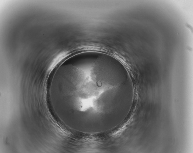 X0000095110199200712141159