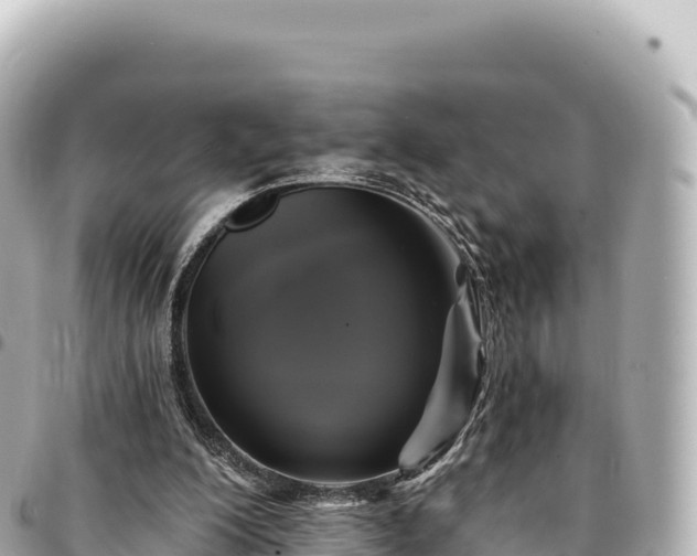 X0000095110200200712141159