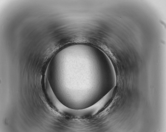 X0000095110201200712141159