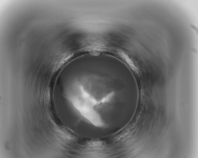 X0000095110202200712141159