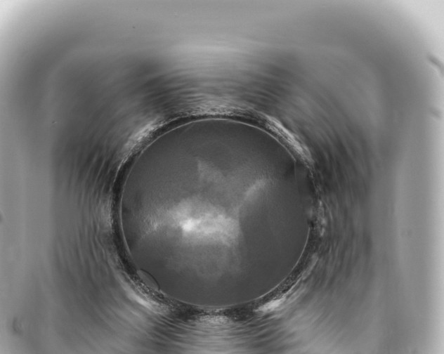 X0000095110203200712141159