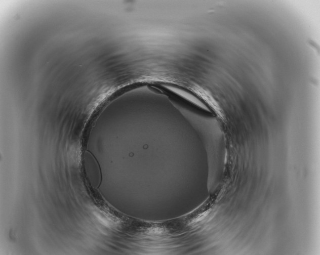 X0000095110204200712141159