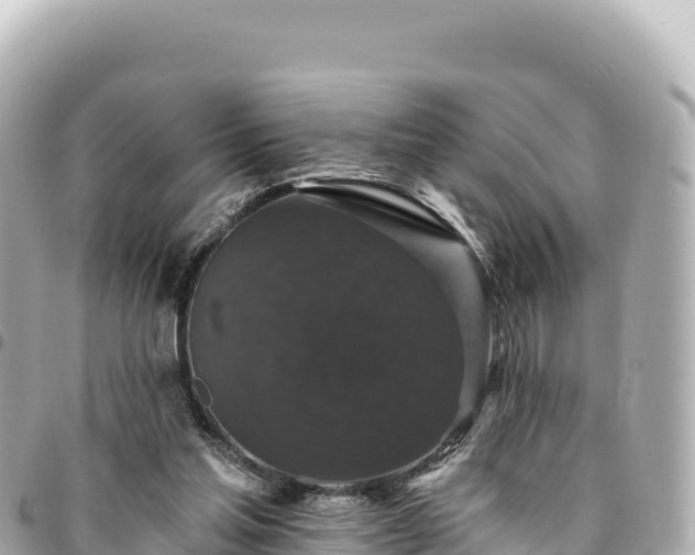 X0000095110205200712141159