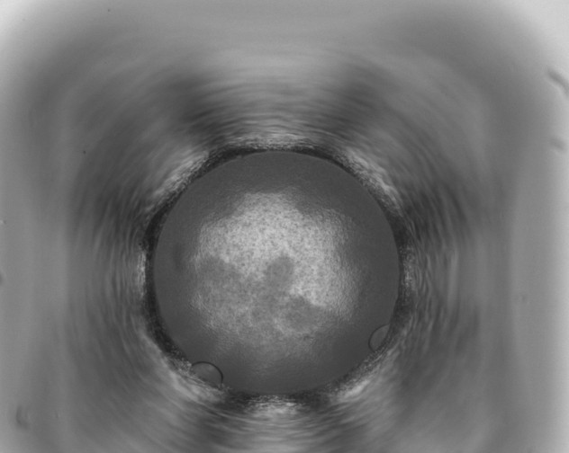 X0000095110206200712141159