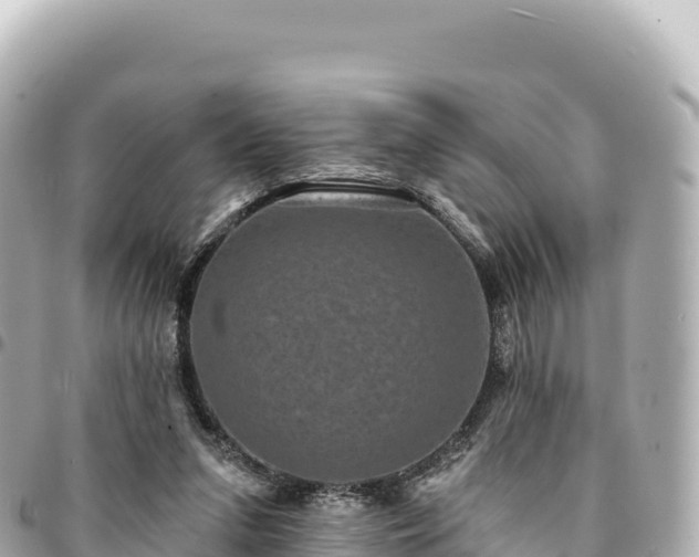 X0000095110207200712141159