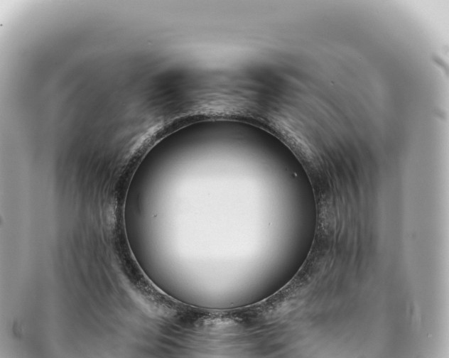 X0000095110208200712141159