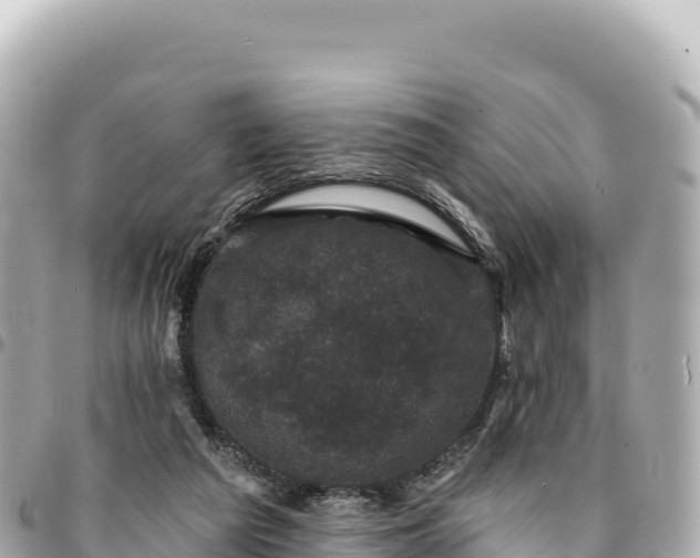 X0000095110209200712141159