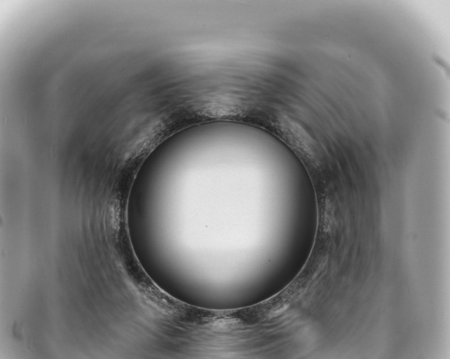 X0000095110210200712141159