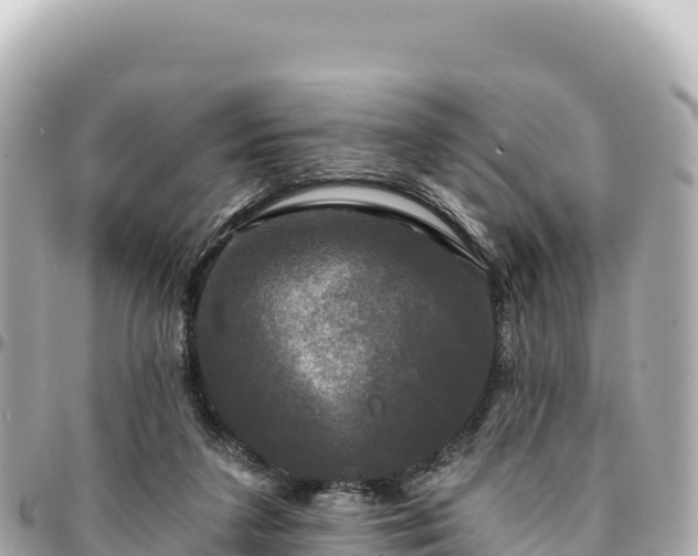 X0000095110211200712141159