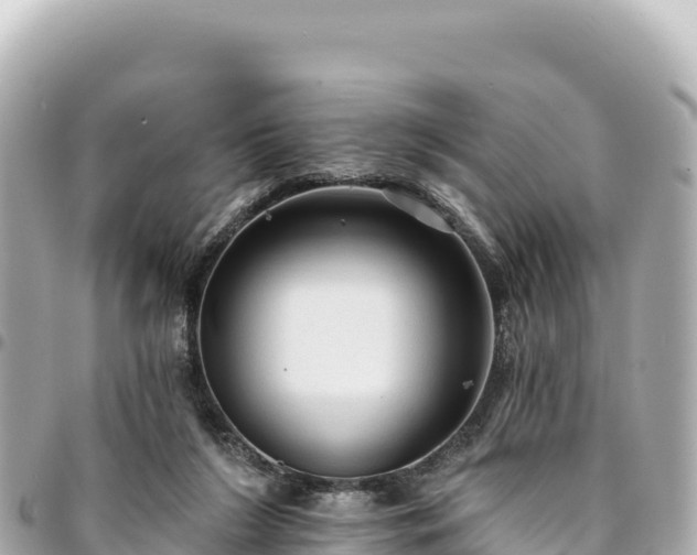 X0000095110212200712141159