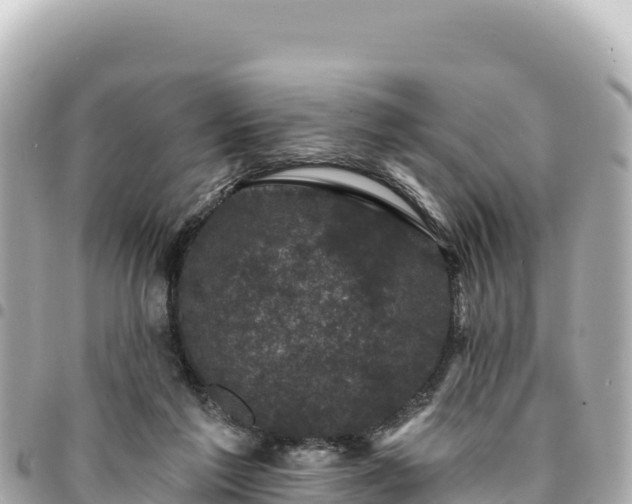 X0000095110213200712141159