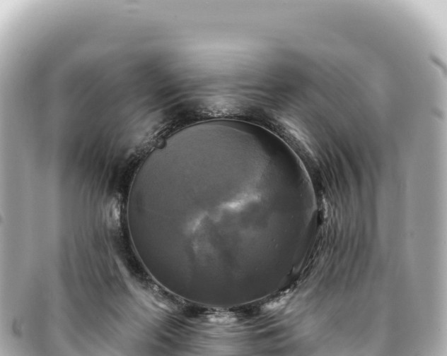 X0000095110214200712141159