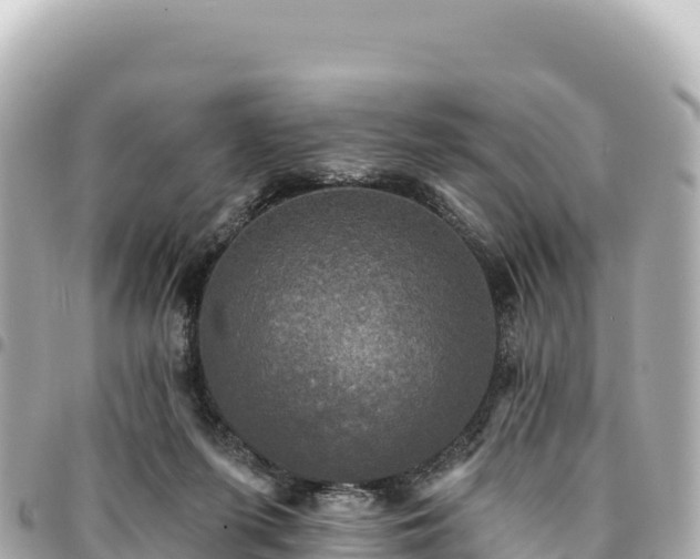 X0000095110215200712141159