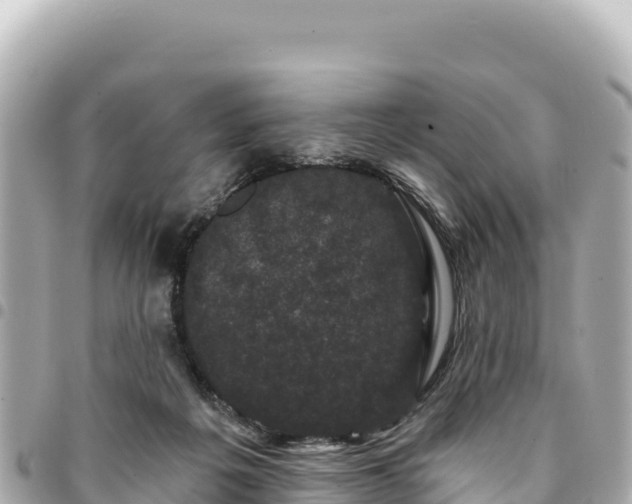 X0000095110217200712141159