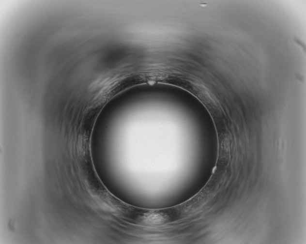 X0000095110218200712141159