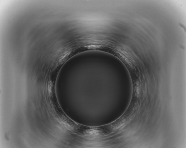 X0000095110219200712141159