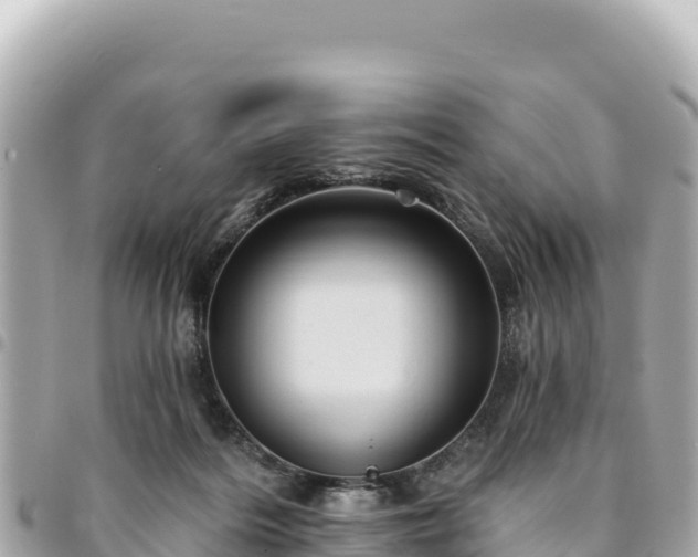 X0000095110220200712141159