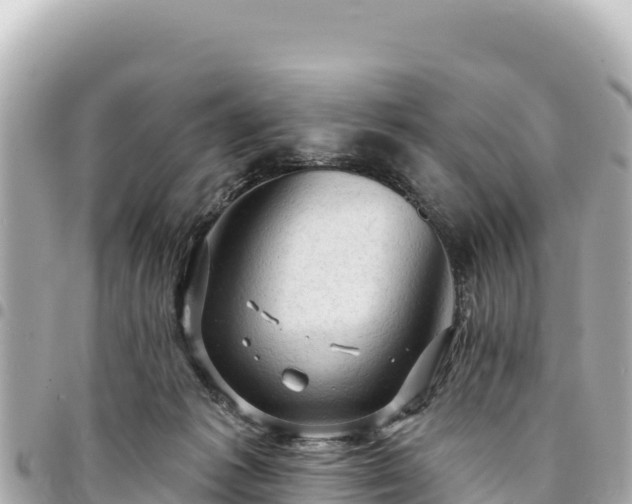 X0000095110221200712141159