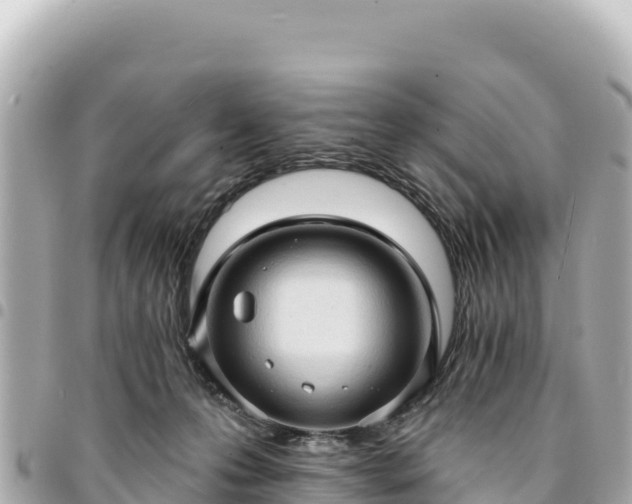 X0000095110223200712141159