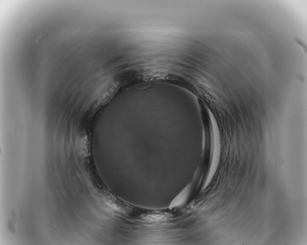 X0000095110224200712141159