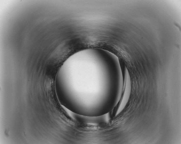 X0000095110225200712141159