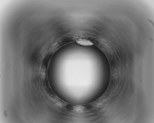 X0000095110226200712141159