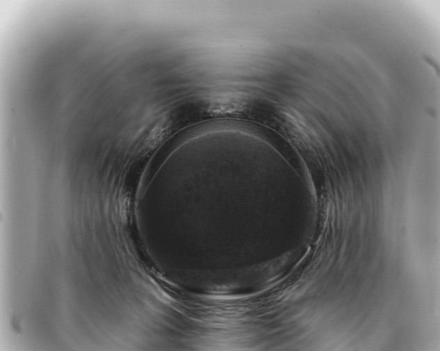 X0000095110227200712141159