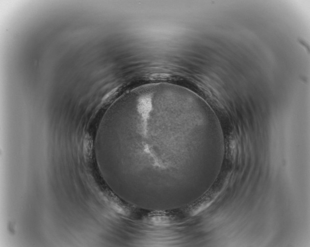 X0000095110228200712141159