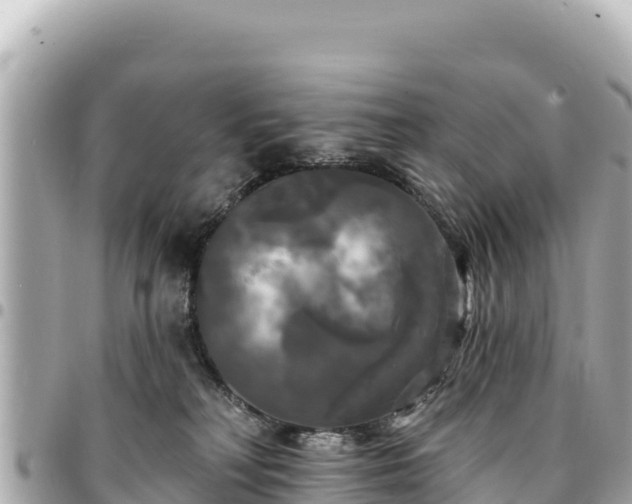 X0000095110230200712141159