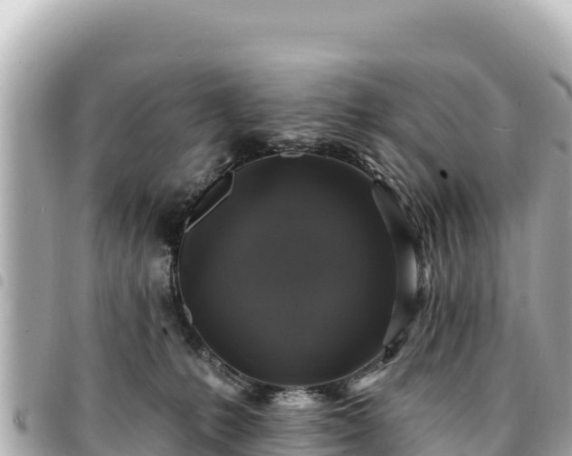 X0000095110231200712141159