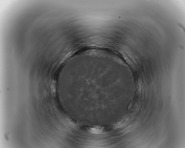 X0000095110232200712141159