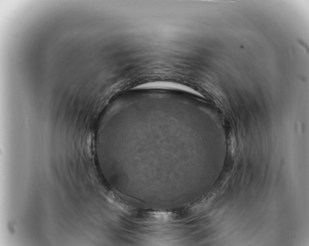 X0000095110233200712141159