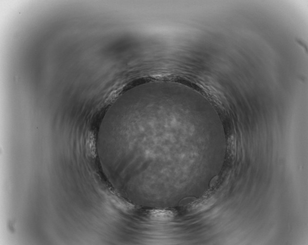 X0000095110234200712141159