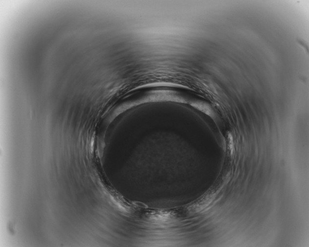 X0000095110235200712141159