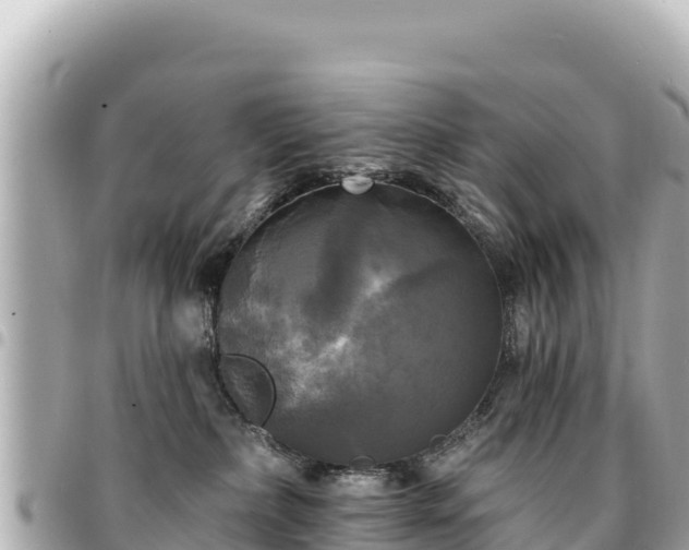 X0000095110236200712141159