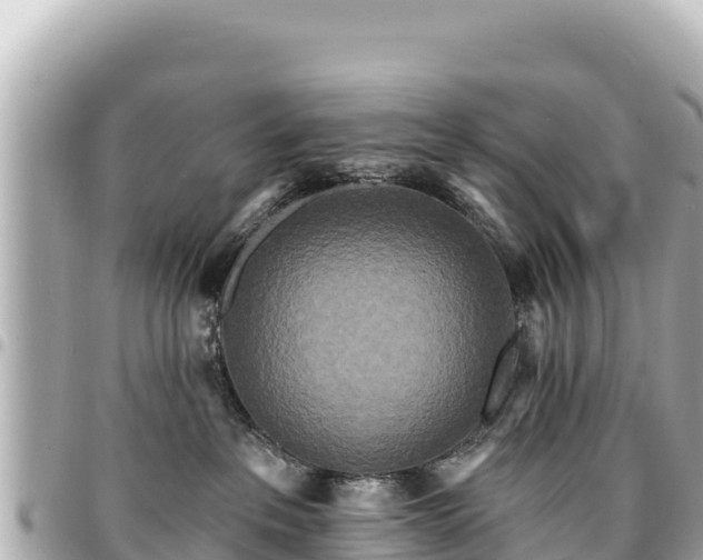 X0000095110237200712141159