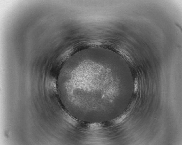 X0000095110238200712141159