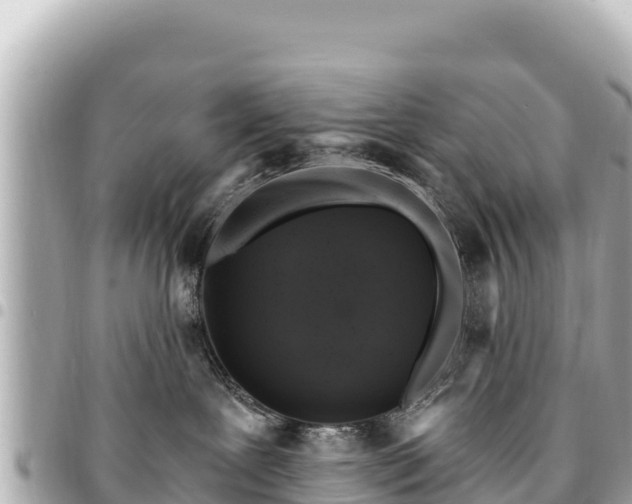 X0000095110239200712141159