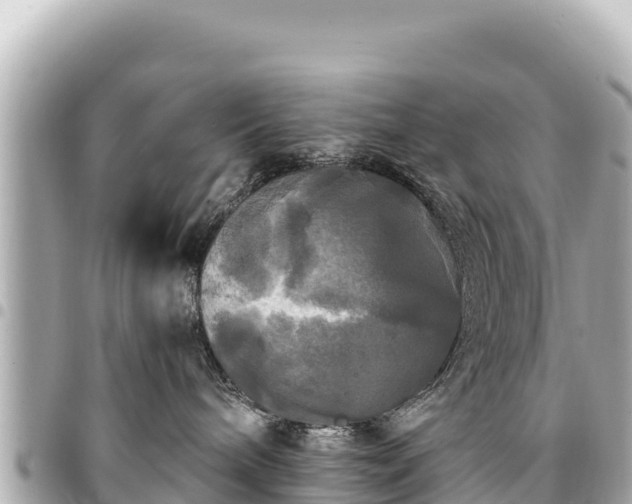 X0000095110240200712141159