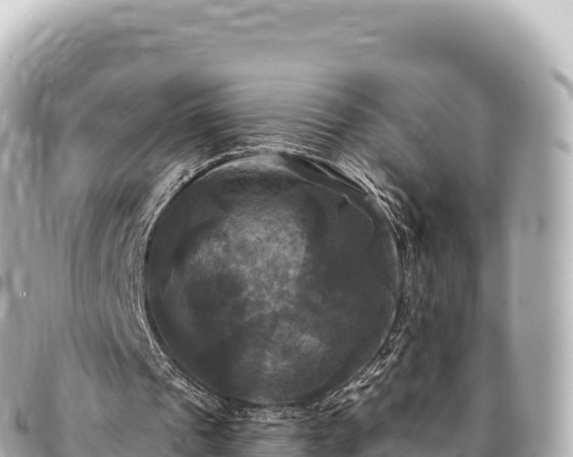 X0000095110241200712141158