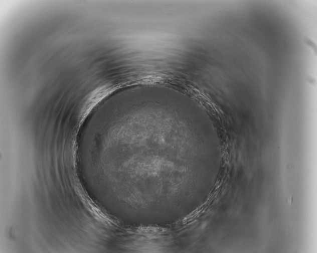 X0000095110242200712141158