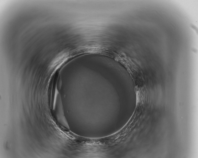 X0000095110243200712141158