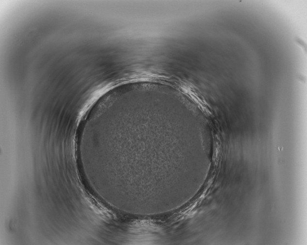 X0000095110244200712141158