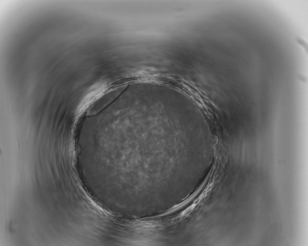 X0000095110245200712141158