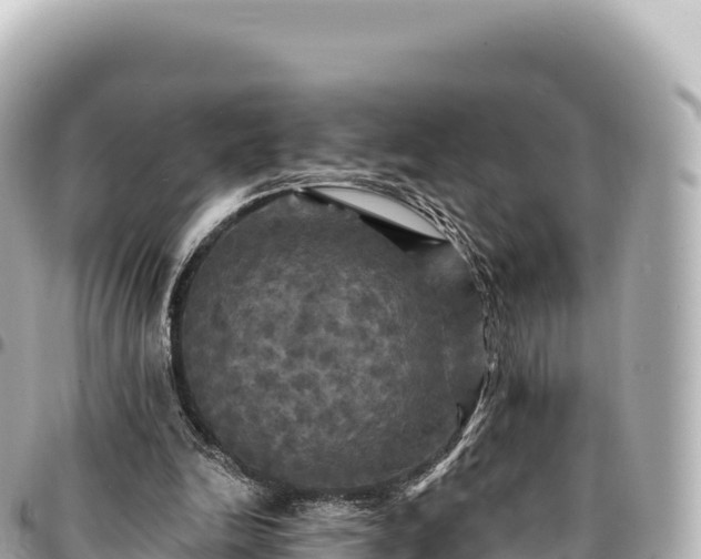 X0000095110246200712141158