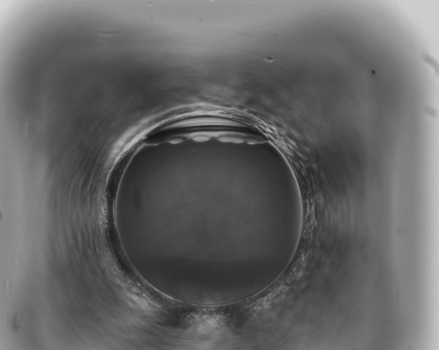 X0000095110247200712141158